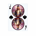 Hokkyoku Arashi™ SHENANIGANS Family Playing Cards, Jack of Spades custom card. Copyright ©2026. Hokkyoku Arashi™ — All Rights Reserved.  HokkyokuArashi.com